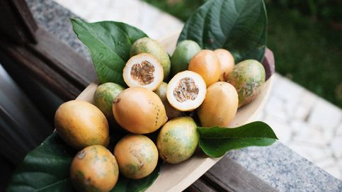 La exótica fruta tropical que fortalece tu sistema inmunológico, previene enfermedades cardiovasculares y mejora la digestión