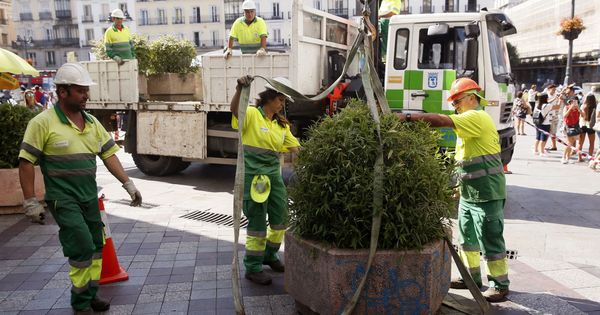Foto: Operarios del Ayuntamiento de Madrid colocan jardineras en la céntrica calle Montera. (EFE)