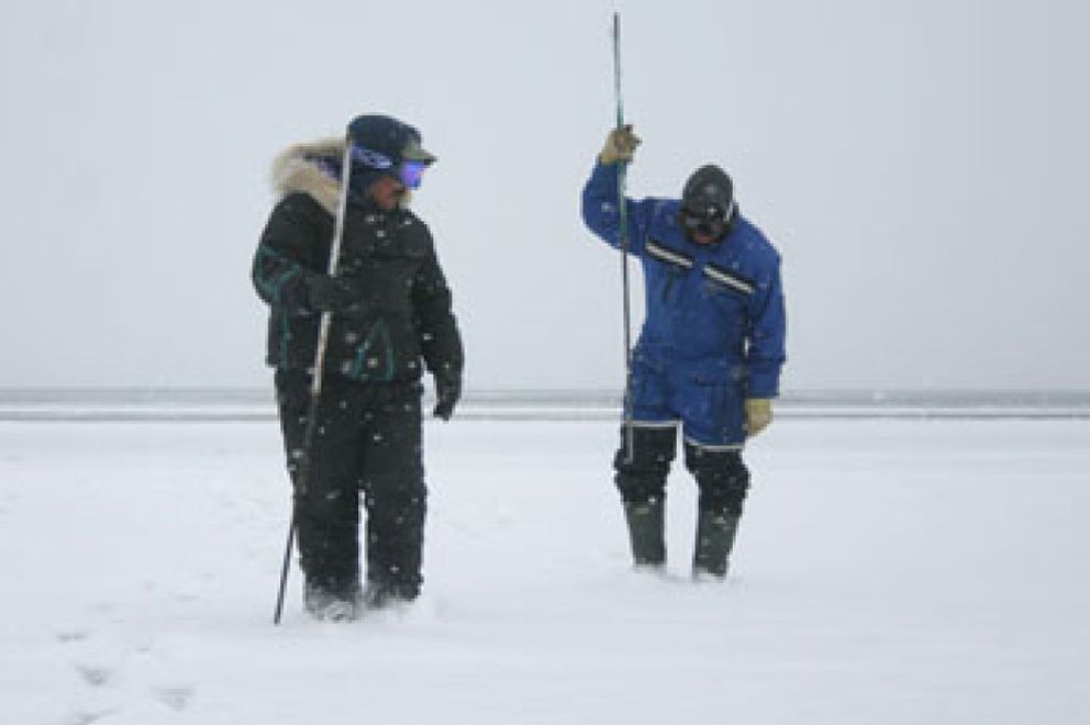 Un experto en clima polar advierte de que el Ártico pierde un 15