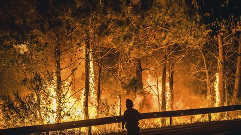 Otro verano de ruleta rusa con los incendios: bosques recargados de basura y combustible