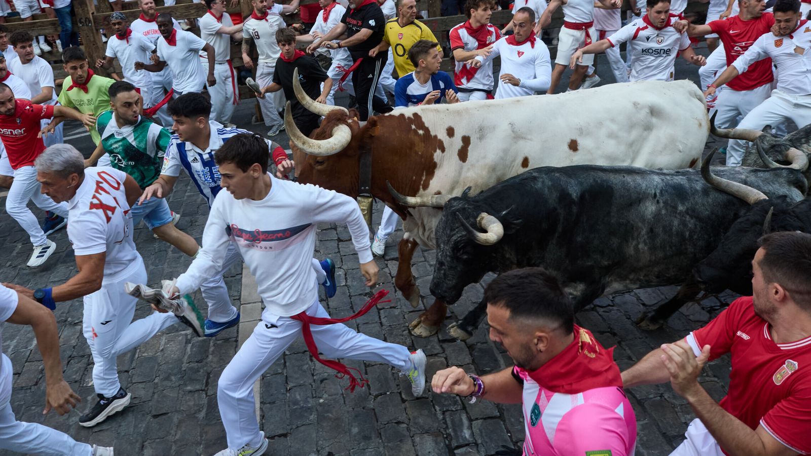 El segundo encierro con los Cebada Gago deja una rápida carrera y un herido por asta