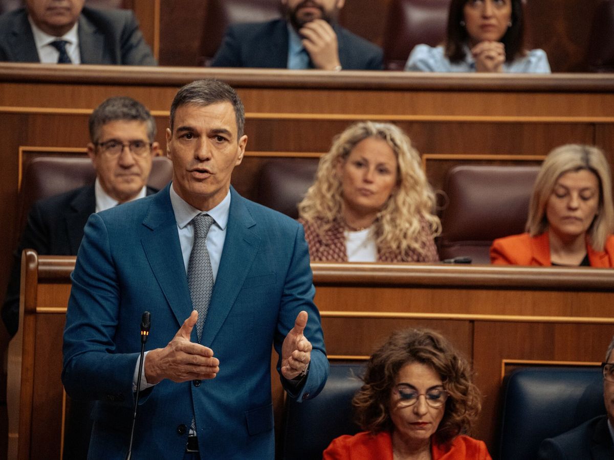 Foto: El presidente Sánchez, en el Congreso. (Europa Press/Gabriel Luengas)