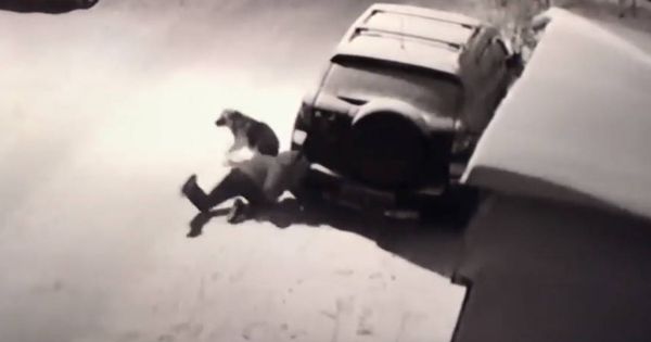 Foto: El hombre impacta con su cabeza contra el coche tras intentar patear al perro (Foto: YouTube)