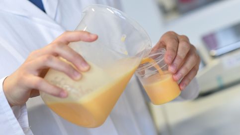 Inmovilizadas 22.000 unidades de huevo líquido contaminado con fipronil en Vizcaya