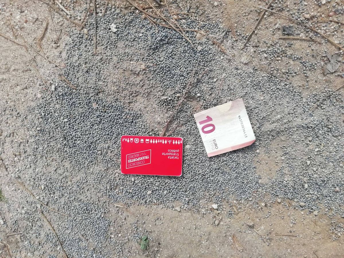 Foto: Las bolitas de plomo que quedan en el suelo, junto a un billete y un abono transportes, para comparar su tamaño. (Cedida)