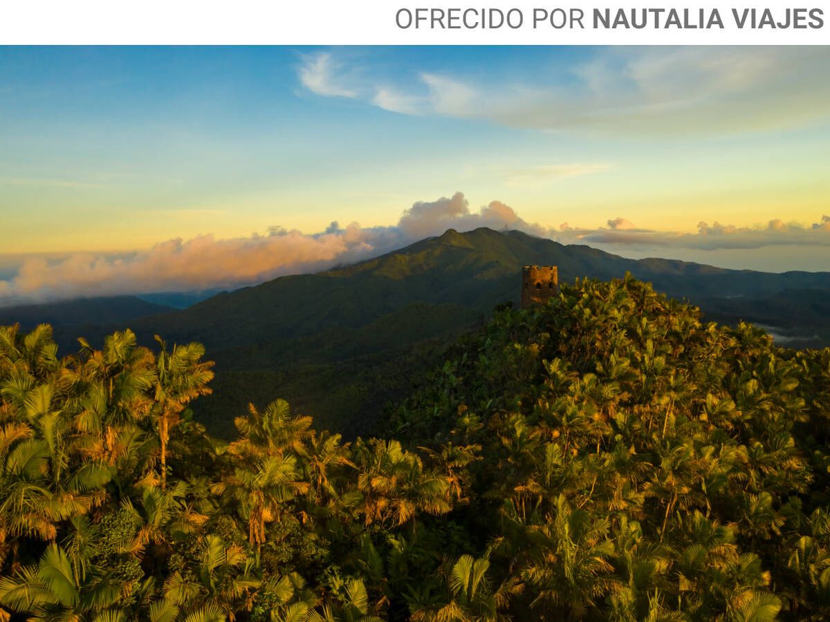 Foto: Bosque Nacional de Yunque. (Foto: cortesía).