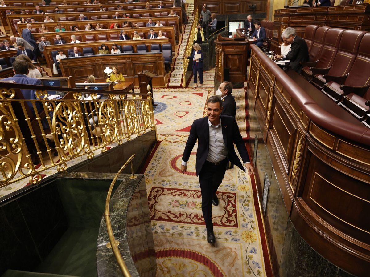 Foto: Pedro Sánchez en el Congreso de los Diputados. (EFE/Javier Lizón)