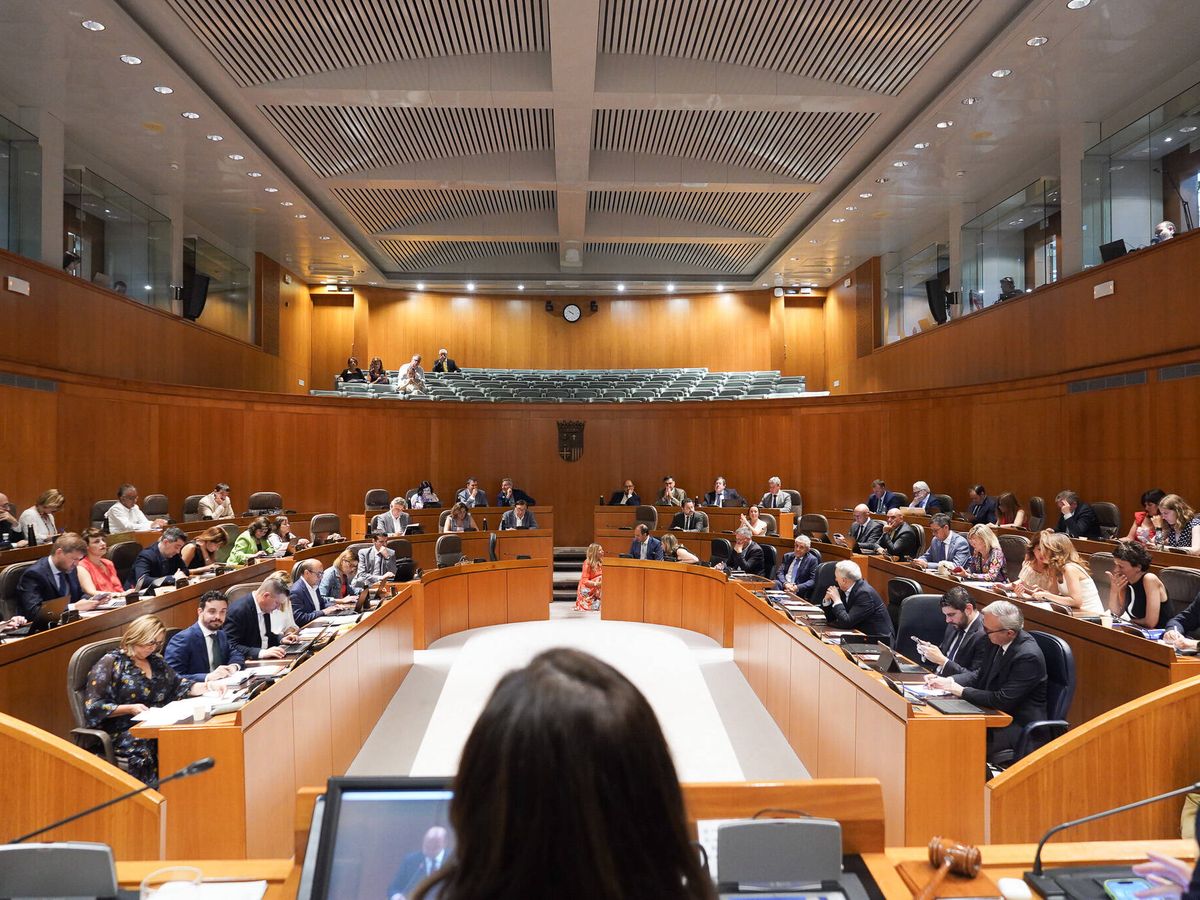Foto: La sesión del Parlamento aragonés que dio el visto bueno al plan elaborado por la Comisión de Investigación. (Gobierno de Aragón)