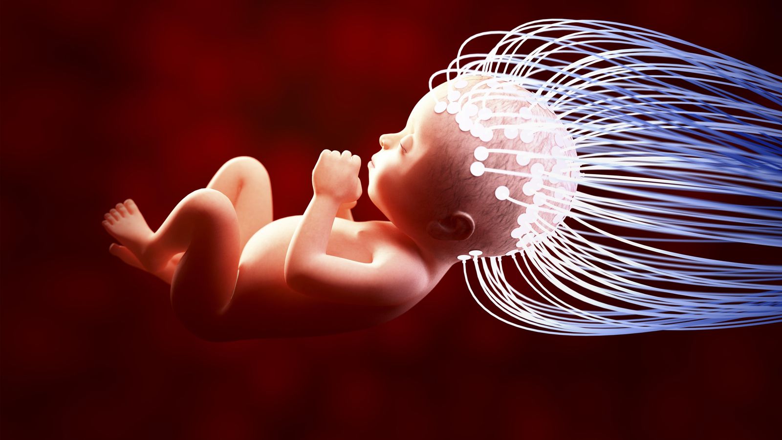 Foto: Es la primera vez en la historia que se intenta modificar genéticamente un embrión (CORBIS)
