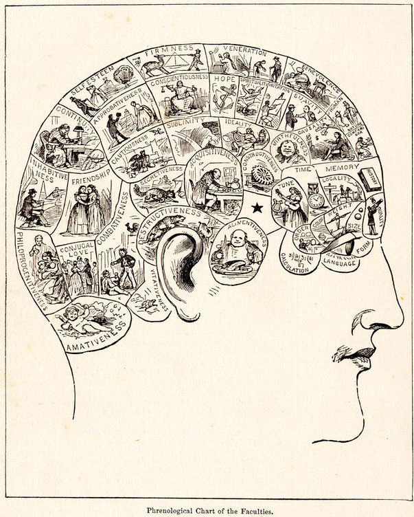 Una ilustración del siglo XIX típica sobre frenología