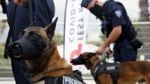 España enviará un contingente de 300 policías y guardias civiles para proteger los JJOO de París