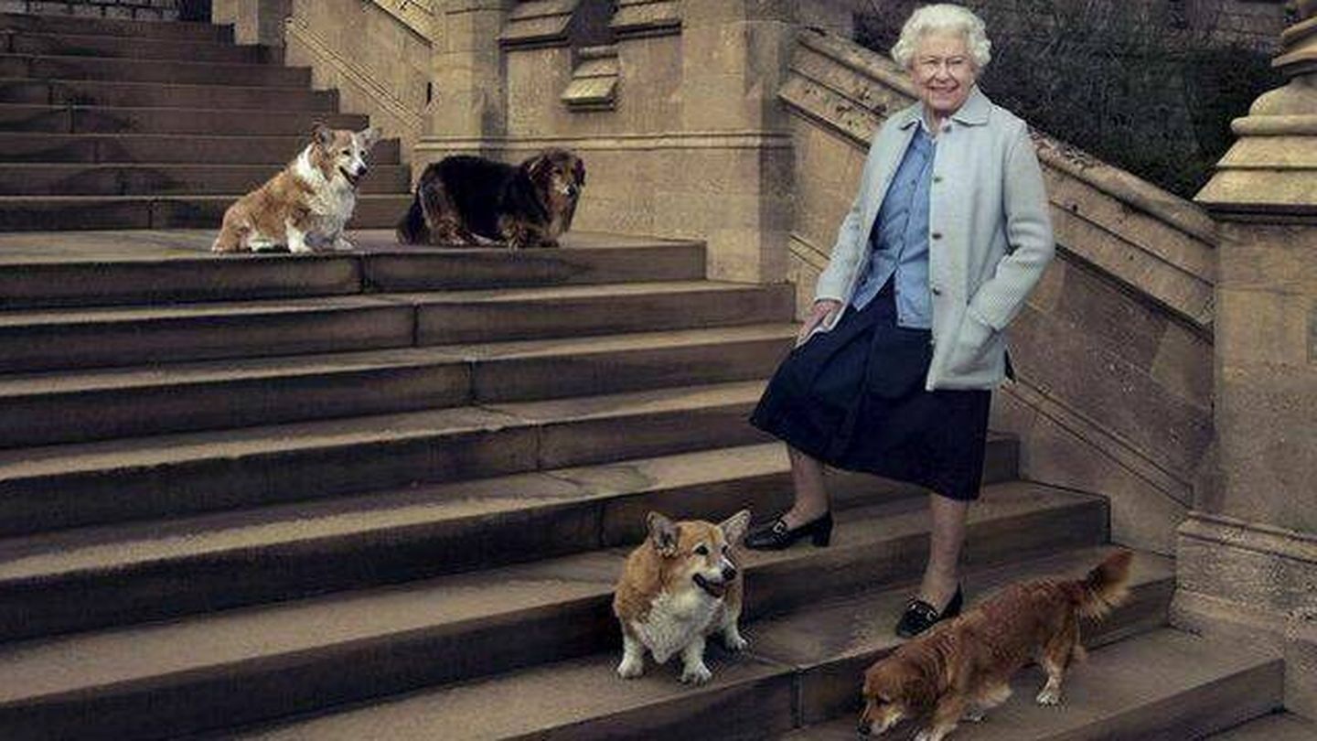  La reina Isabel II, con algunos de sus corgis. (Buckingham Palace)