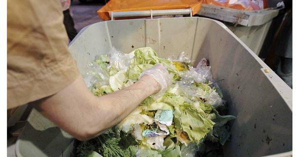 Foto: Una persona recoge alimentos de la basura. (EFE)