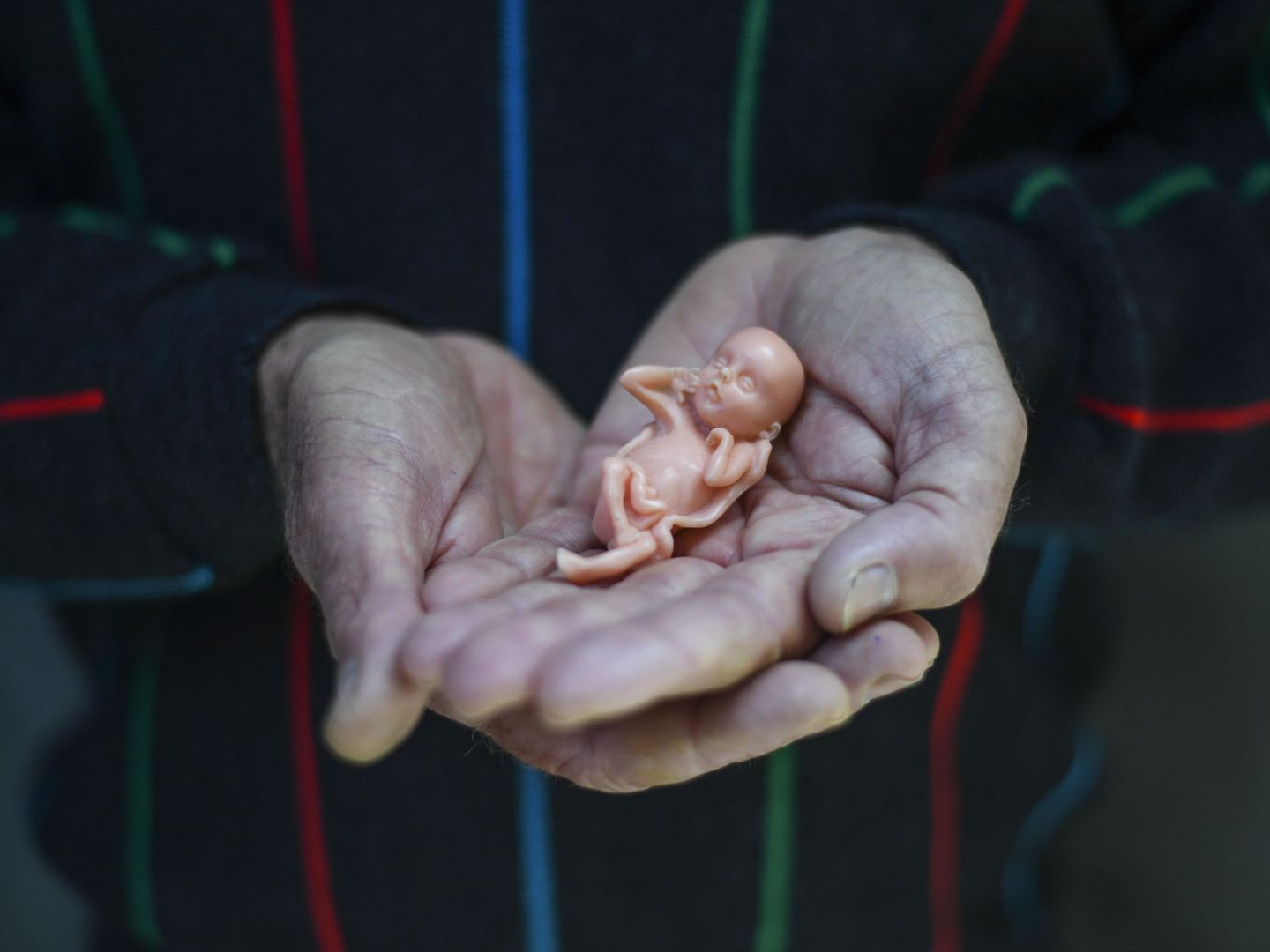 El activista anti-aborto John Preston, con un modelo de un feto de 12 semanas de edad frente al Tribunal Superior de Australia en Canberra. (EFE)
