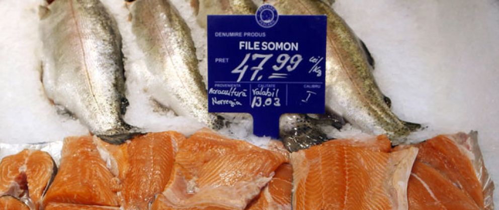 Foto: El salmón del Báltico, prohibido por sus efectos cancerígenos, se cuela en la Unión Europea