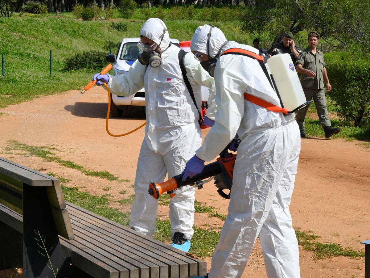 Foto: Dos miembros de un equipo médico desinfectan mobiliario como precaución por el coronavirus. (EFE)