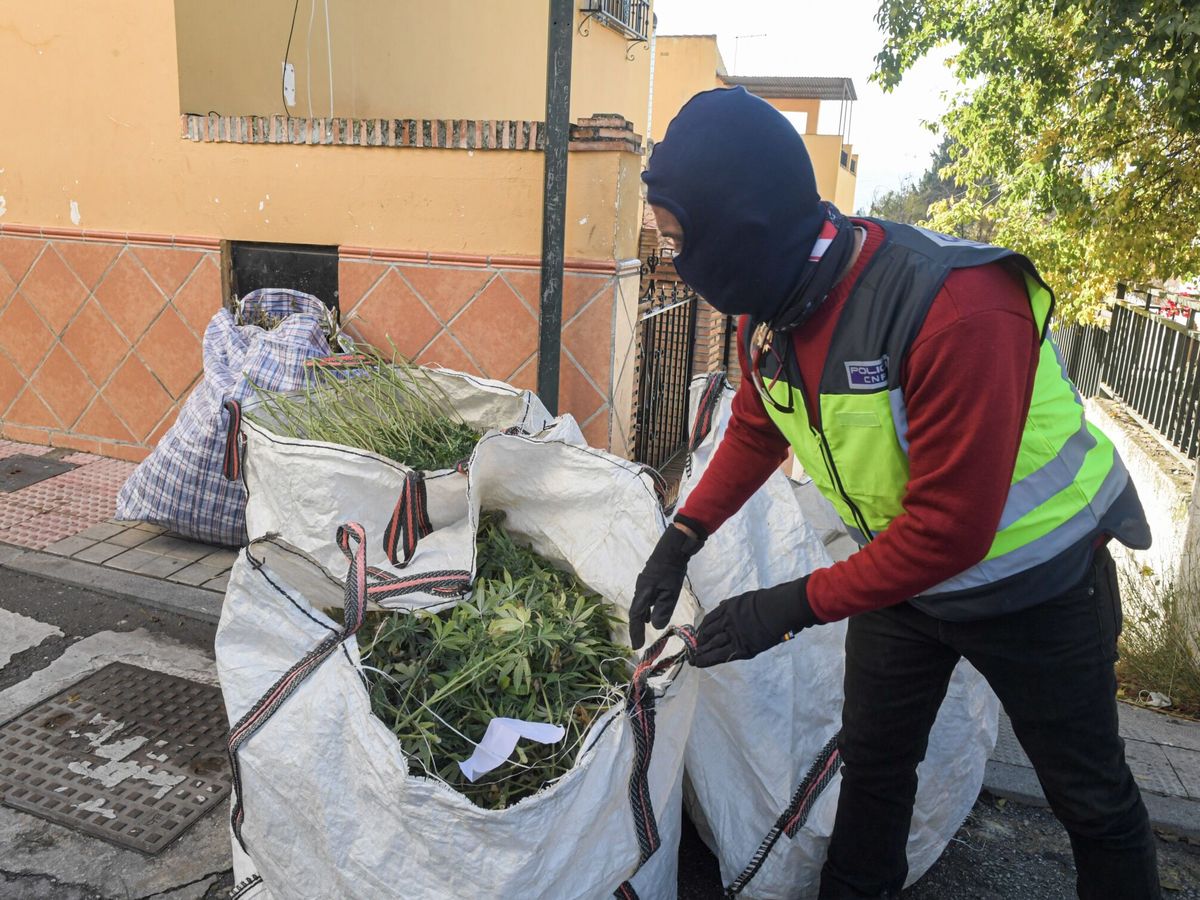 Foto: Los agentes retiran sacas repletas de marihuana en una operación desarrollada en Granada capital. (EFE/Miguel Ángel Molina)