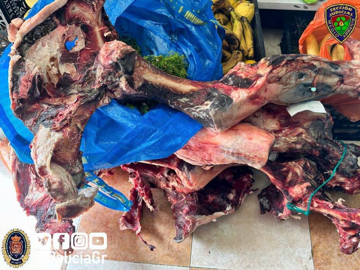 Foto: La Policía cierra esta carnicería de los horrores en Granada con alimentos podridos y cucarachas (Twitter/ @PoliciaGr)
