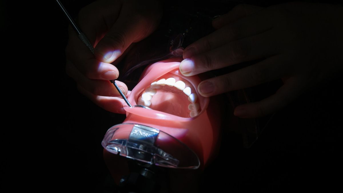 El medicamento que regenera los dientes perdidos está más cerca de hacerse realidad