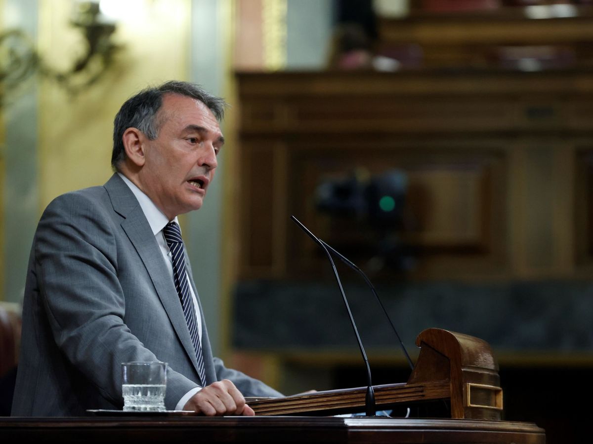Foto: Enrique Santiago en el Congreso de los Diputados. (EFE/Zipi)