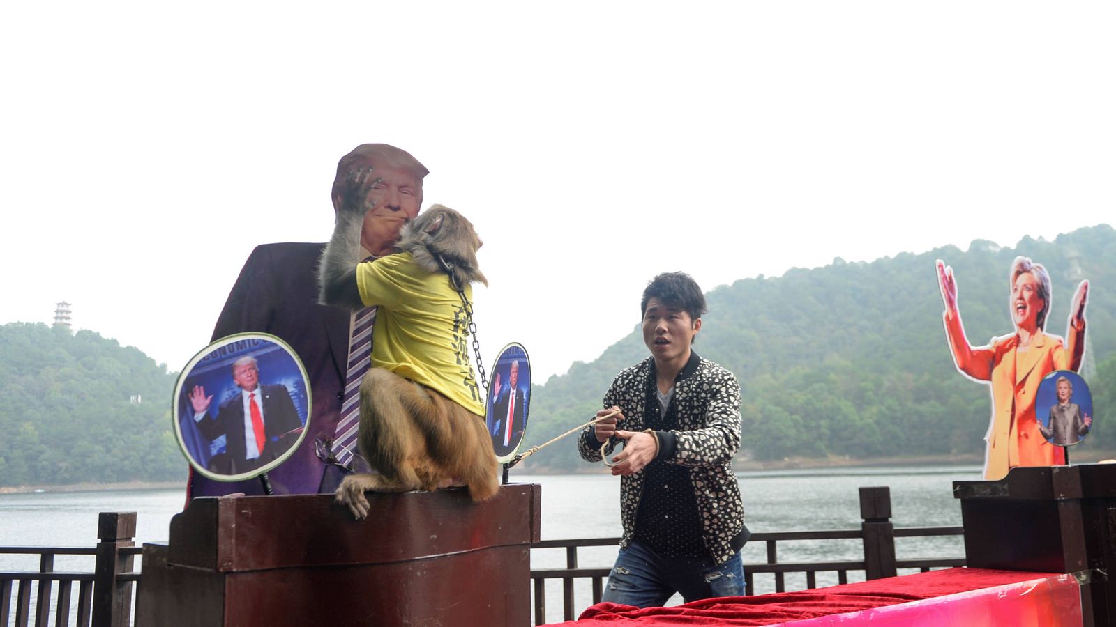 Foto: Un mono con una camiseta que reza 'Rey de las predicciones' elige la figura de Trump, en Changsha, provincia de Huna, el 3 de noviembre de 2016. (Reuters)