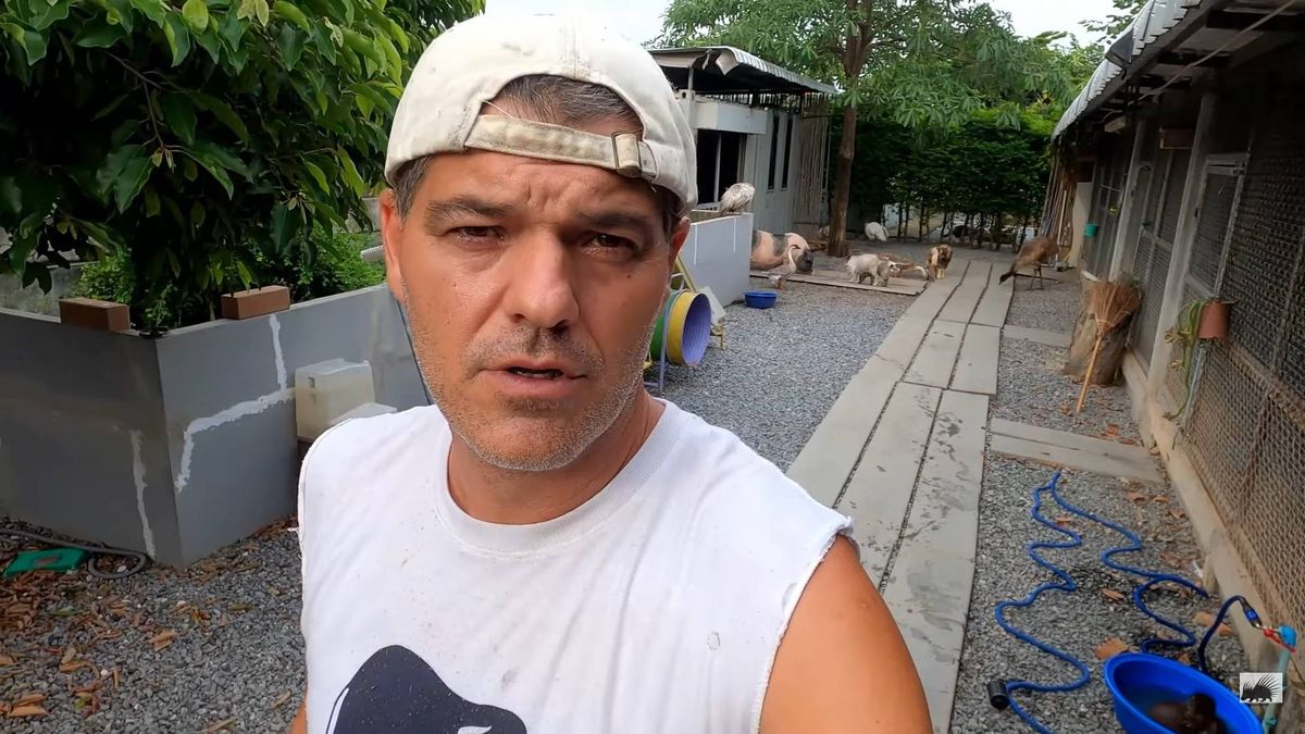 "Muchos no se merecen ni respirar": Frank Cuesta carga contra una 'youtuber' 