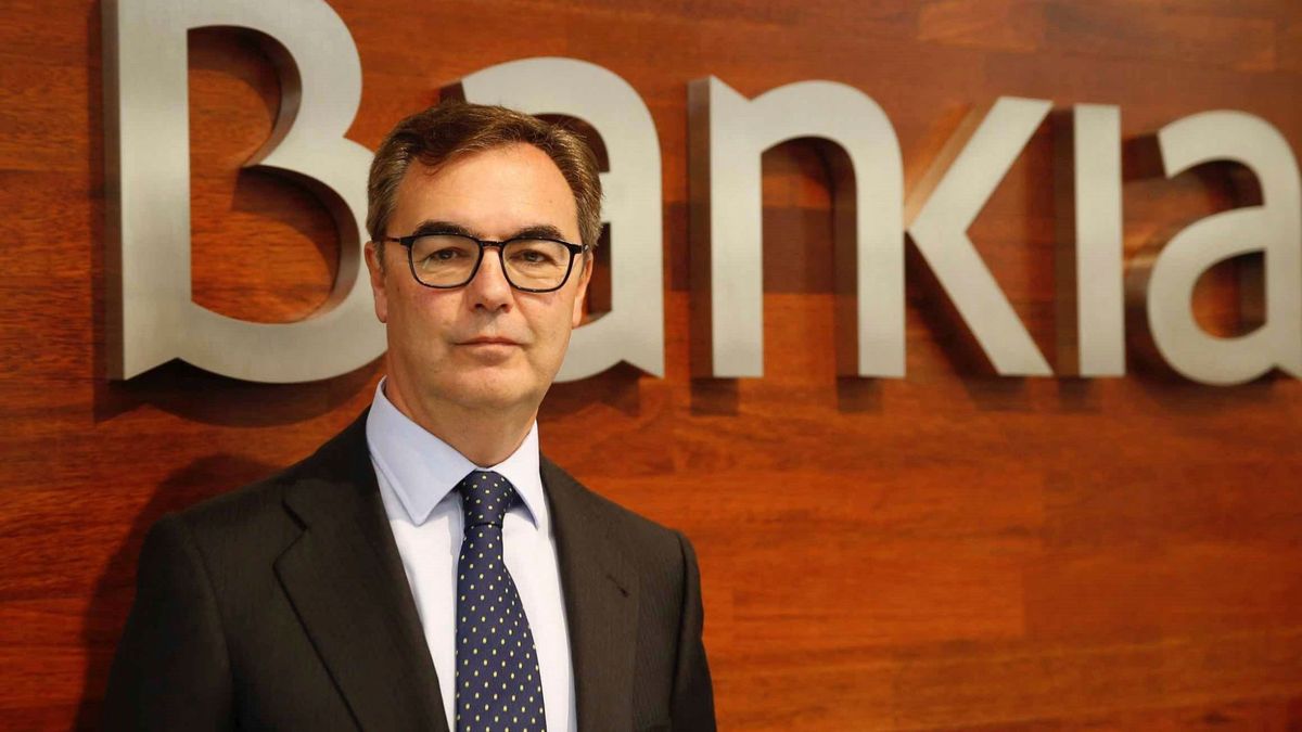 Bankia prevé una ronda de fusiones: esta crisis "va a crear el caldo de cultivo"