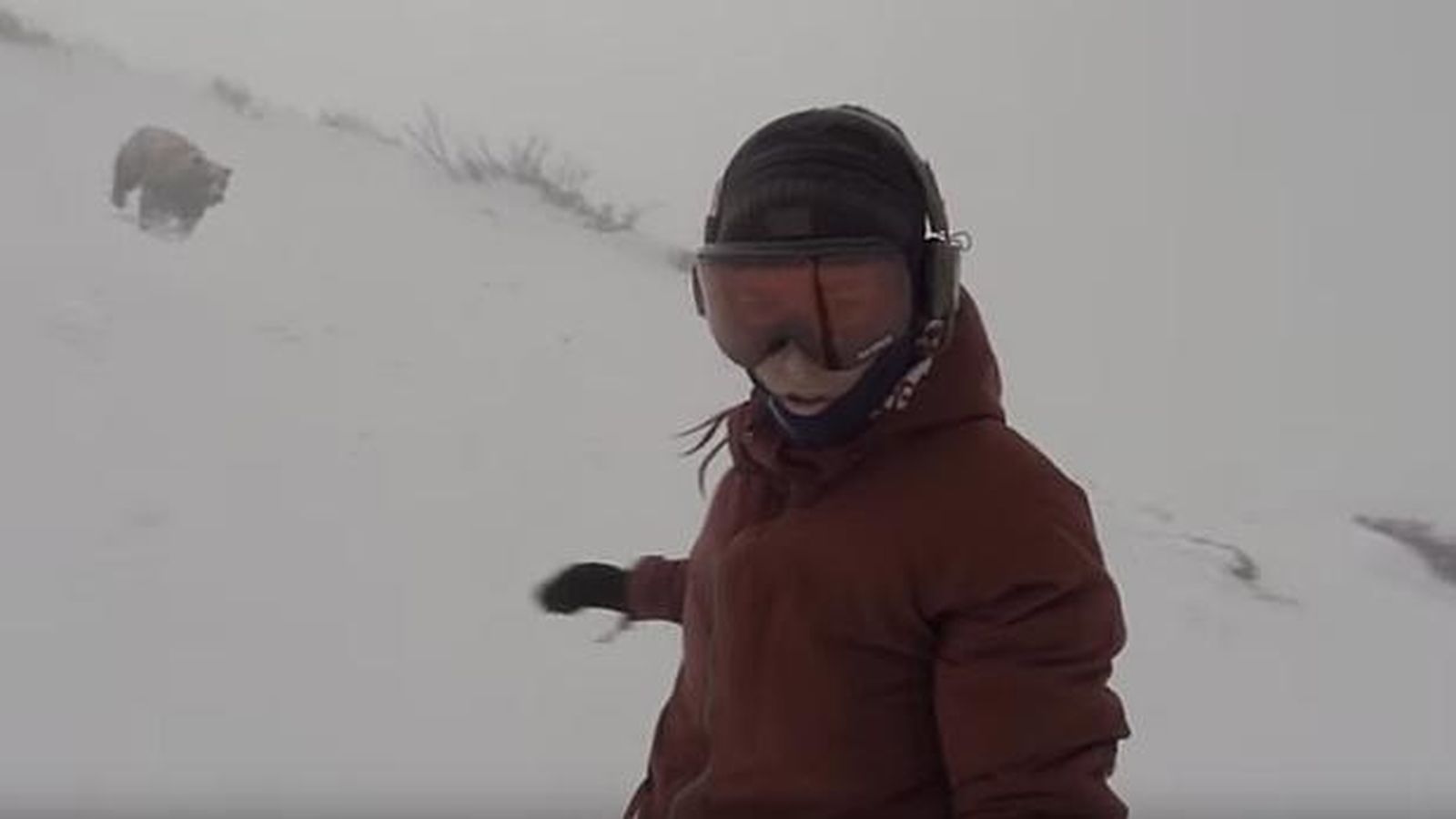 Foto: Kelly Murphy, con el oso detrás, mientras hace snowboard (YouTube/Kelly Murphy)