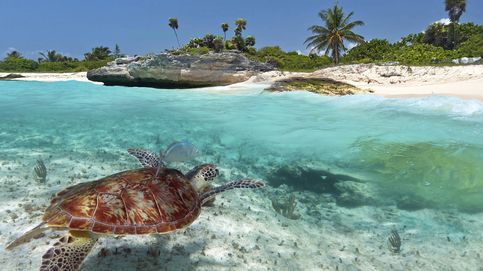Viaje a Riviera Maya y Punta Cana todo incluido: Caribe a cuerpo de rey en un resort