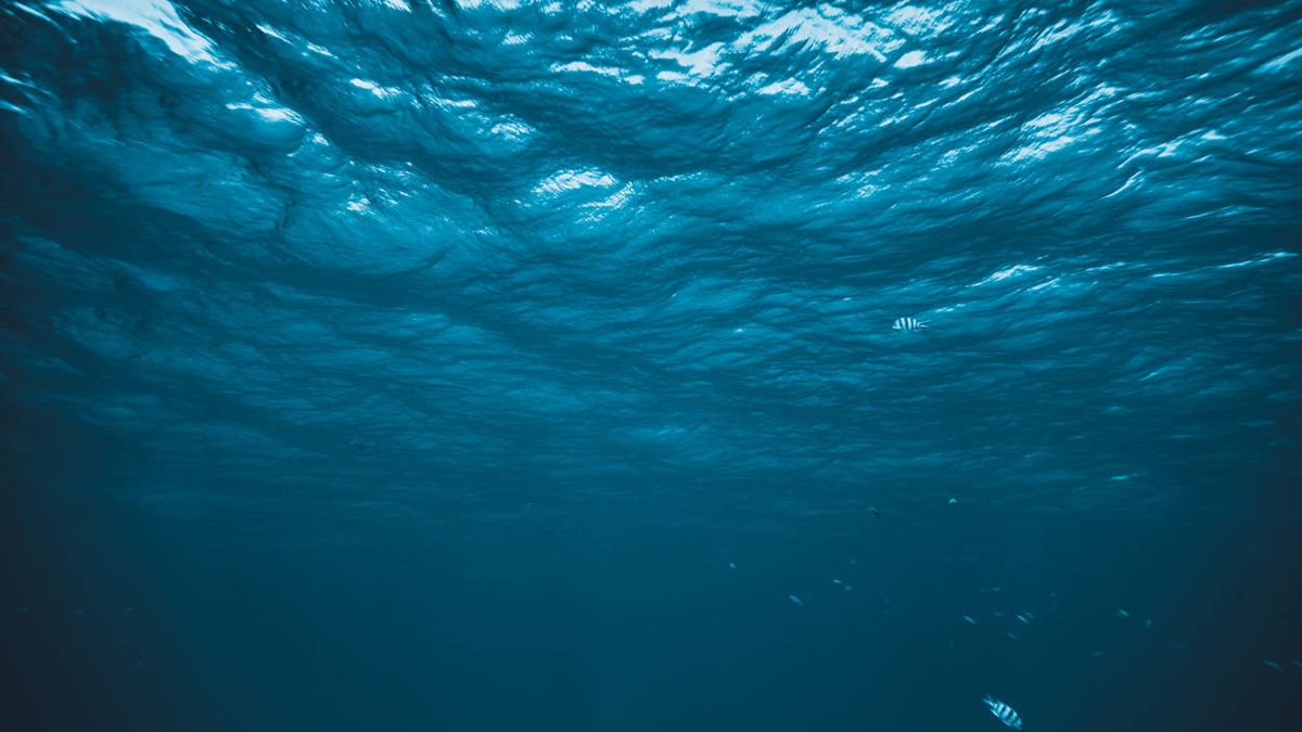 Se quedó sin oxígeno en el fondo del oceáno y ocurrió algo que nadie  esperaba
