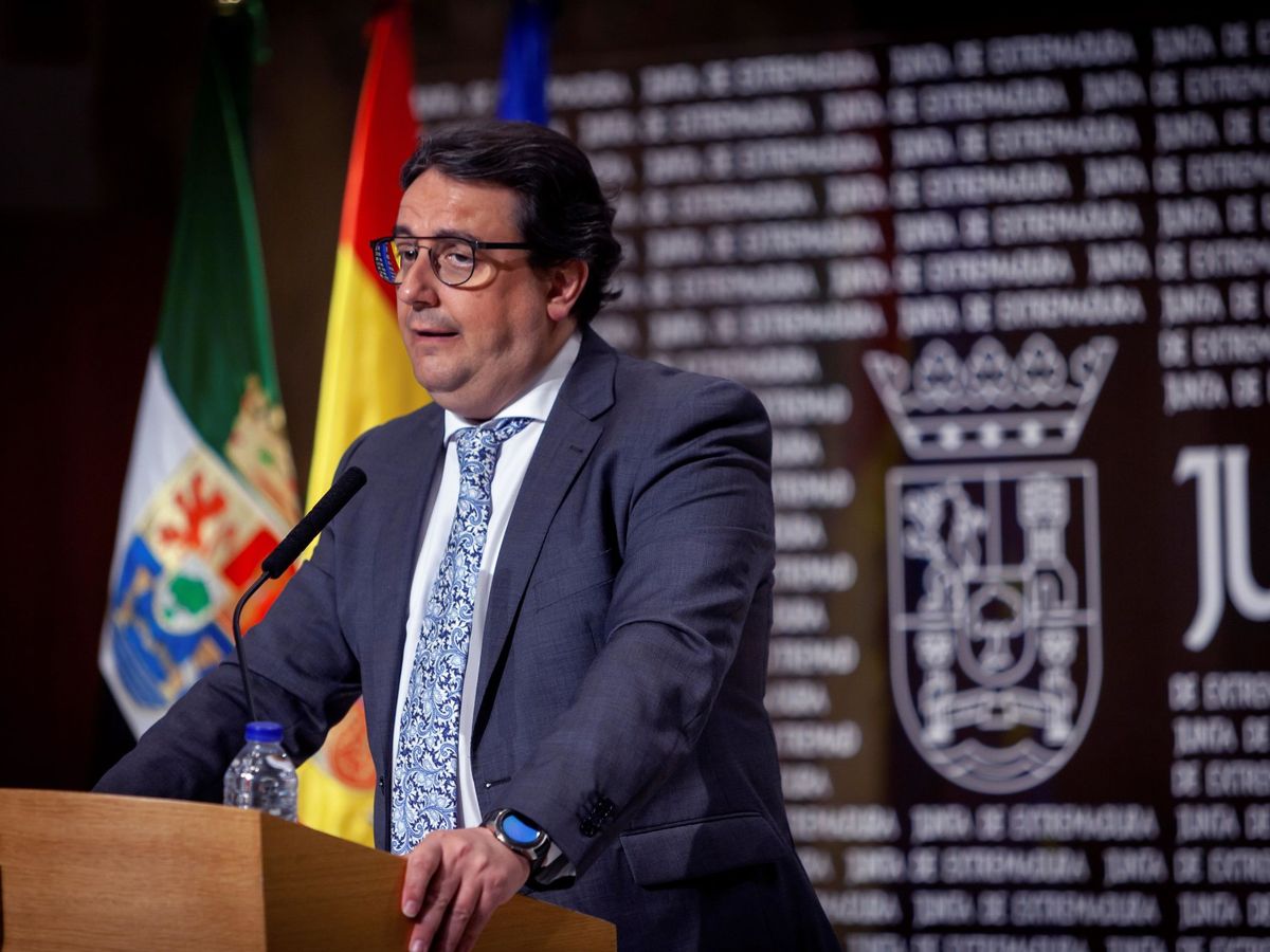 Foto: El vicepresidente segundo y consejero de Sanidad y Servicios Sociales de la Junta de Extremadura, José María Vergeles. (EFE)