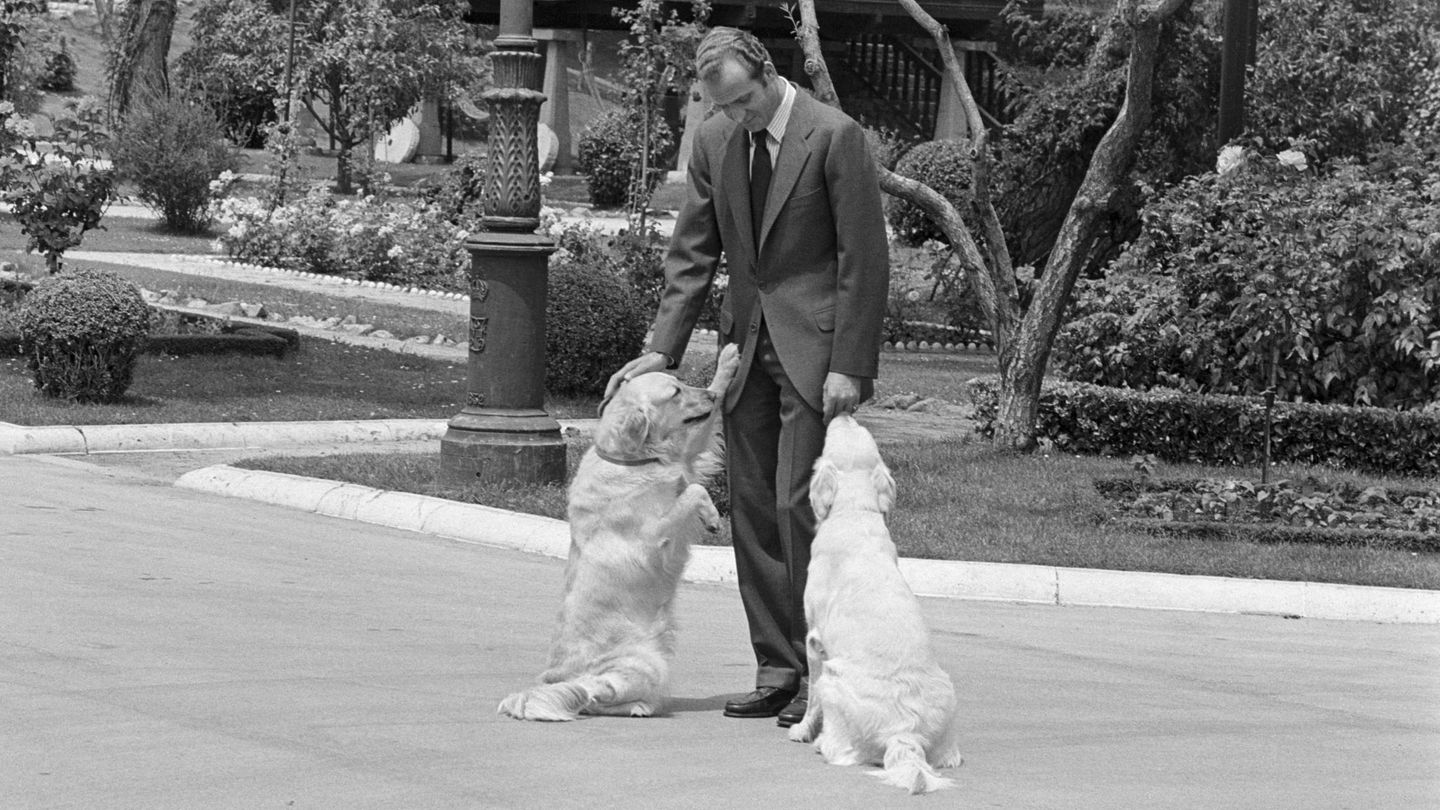 El rey Juan Carlos, con sus perros en una imagen de archivo. (Cordon Press)