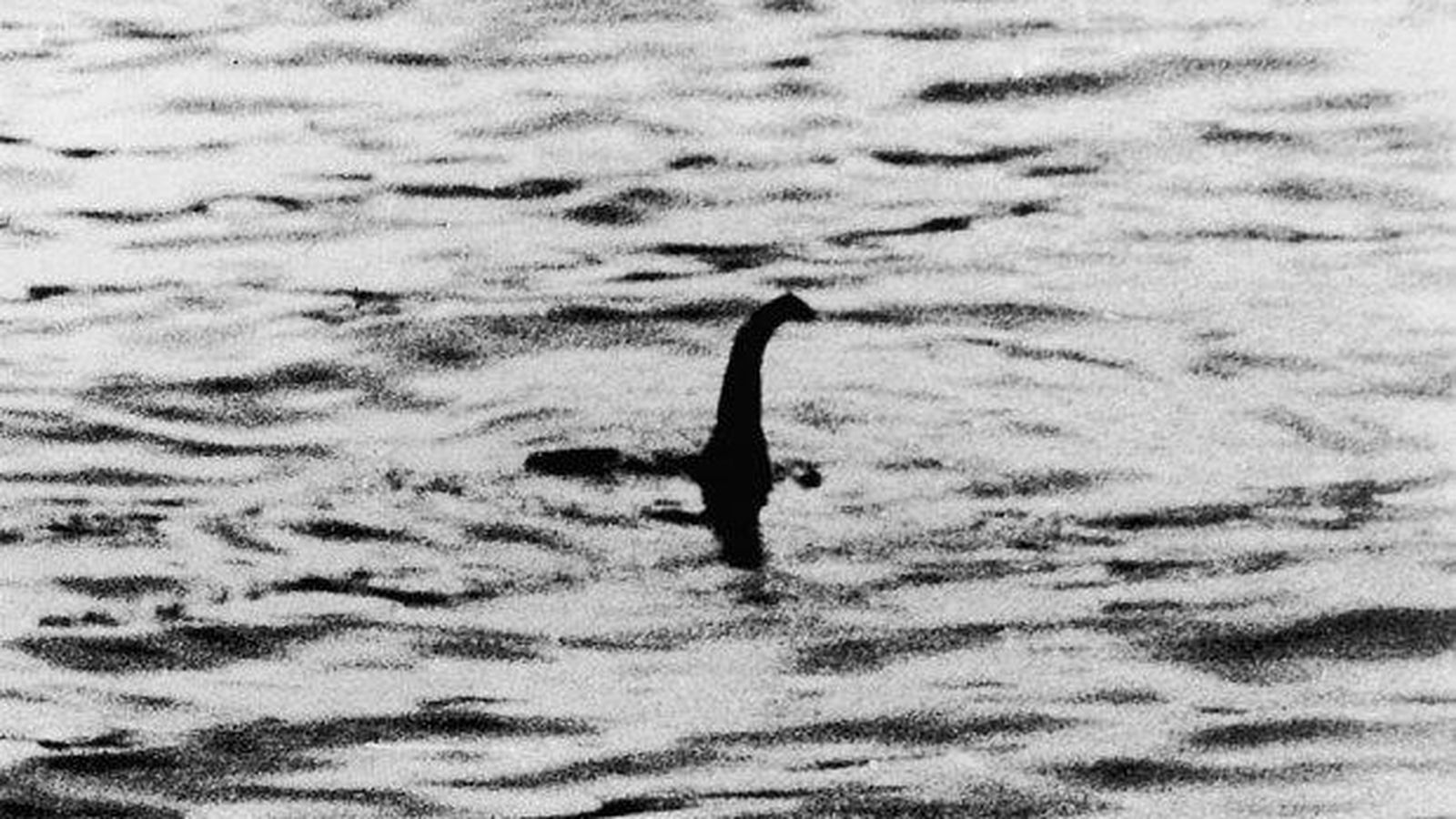 Foto: El supuesto 'monstruo' del Lago Ness