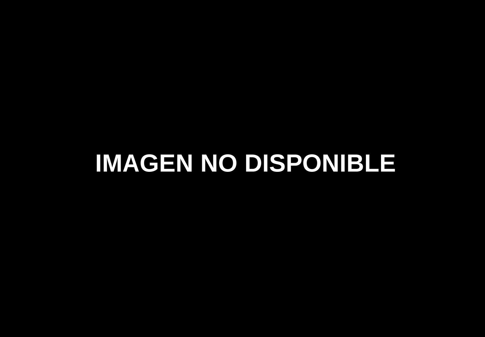Foto: Portillo flirteó con la holandesa Rodamco antes de proponerle a Rivero una fusión con Gecina