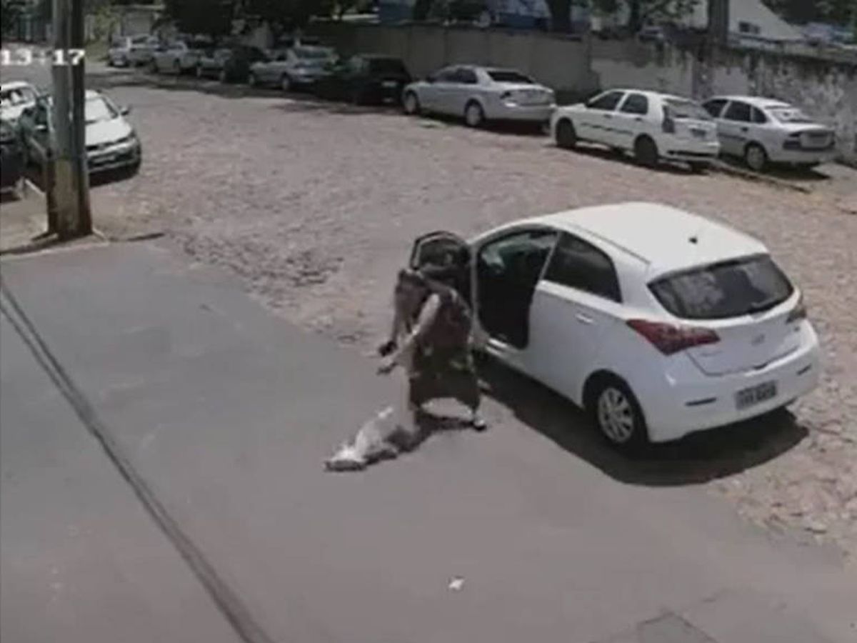 Foto: La mujer lanzó a Tintín contra el suelo para que no regresara al coche (Foto: YouTube)