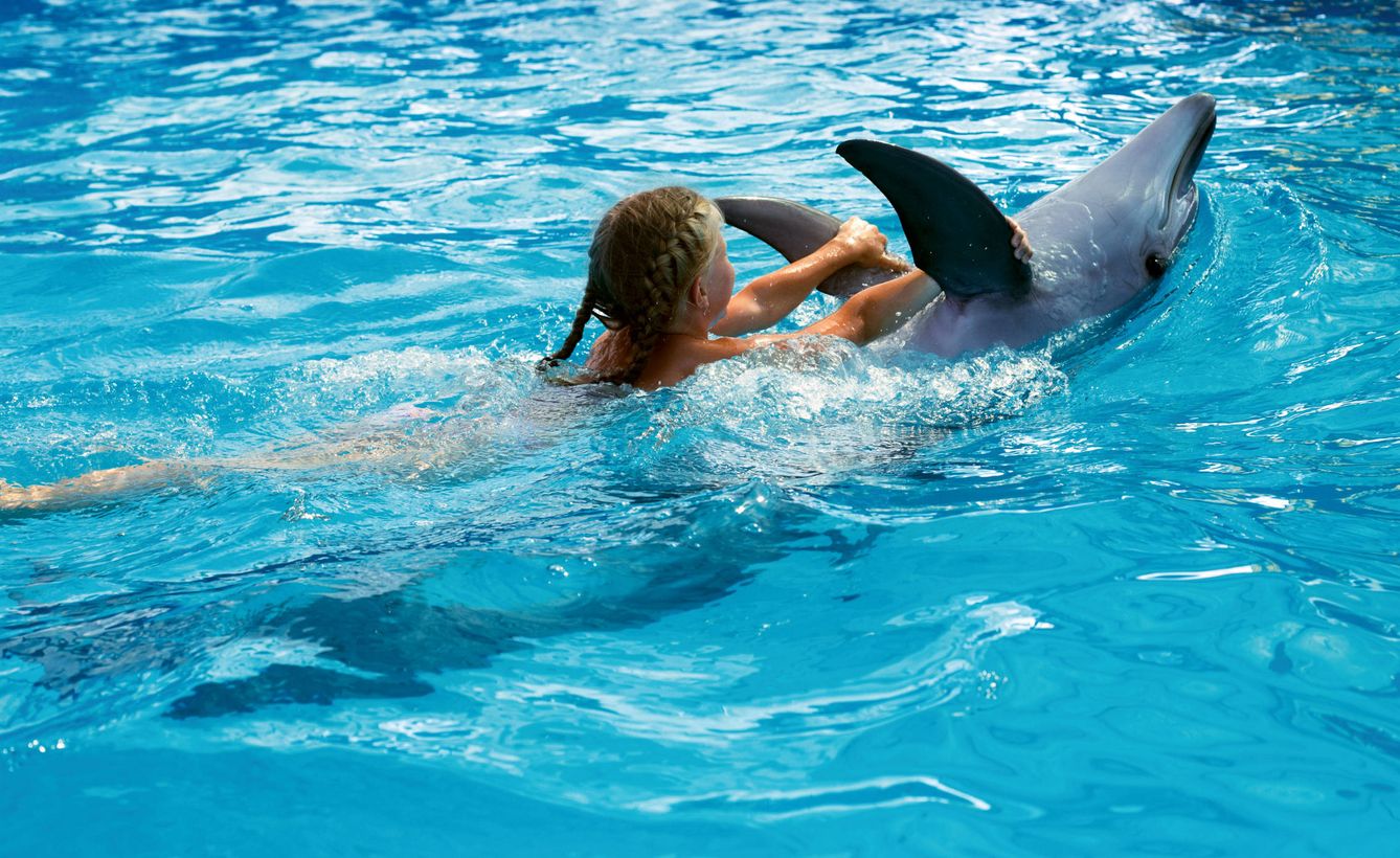 Delfines en Benalmádena (Shutterstock)