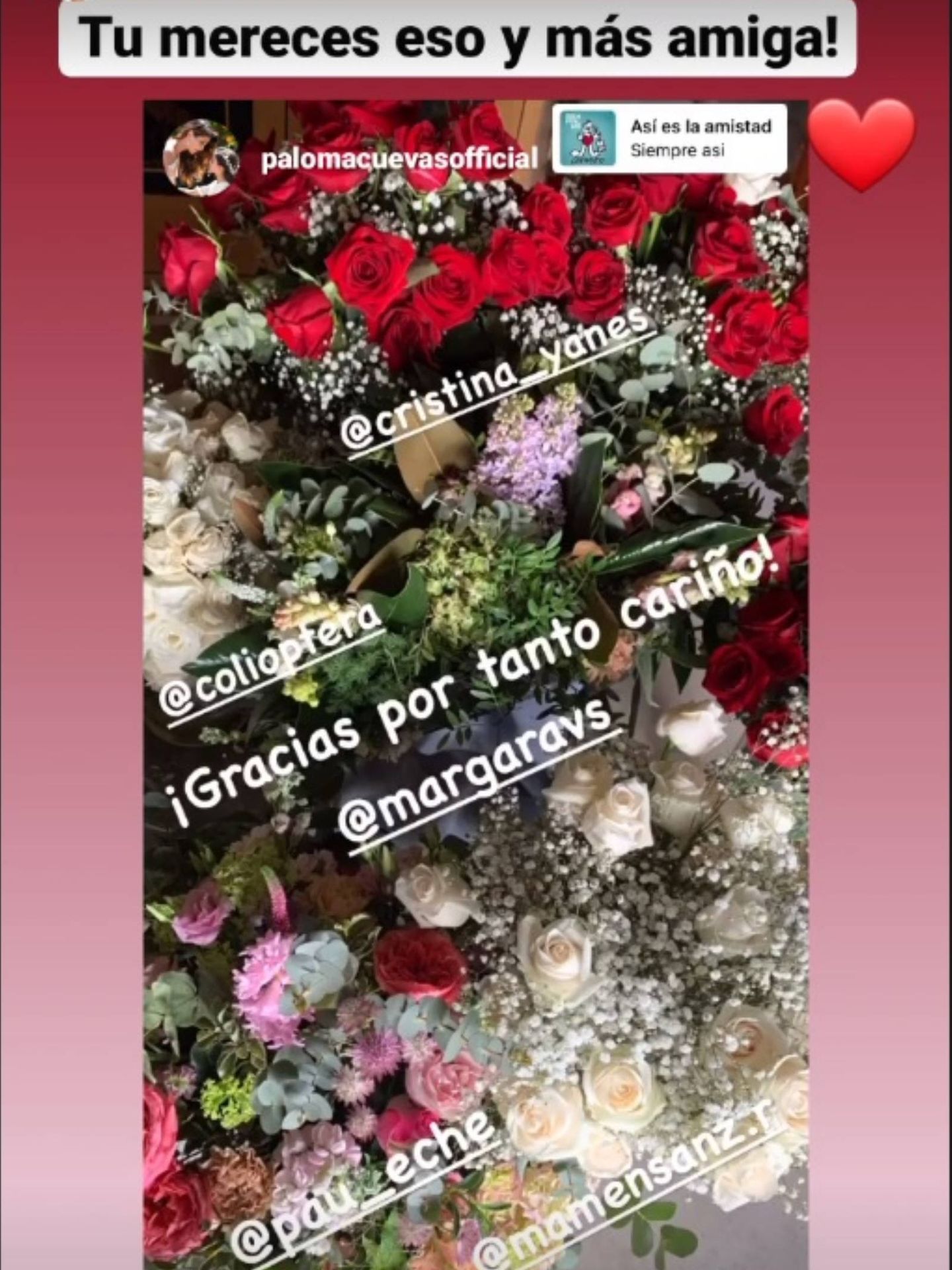 La publicación de Paloma compartida por Paula Echevarría. (Instagram @pau_eche)