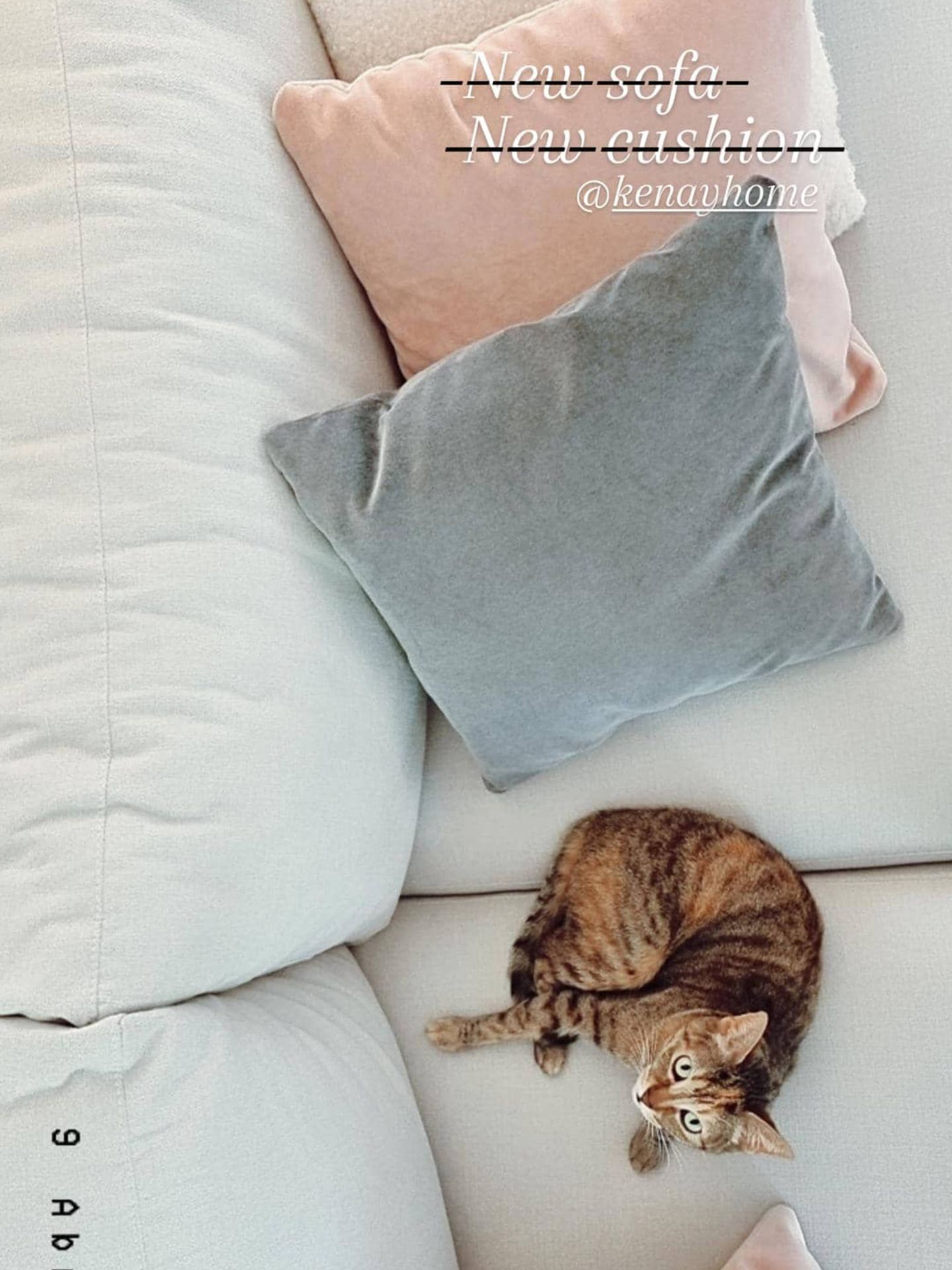 Pelusa en el sofá nuevo de Blanca. (Instagram @blanca_suarez)