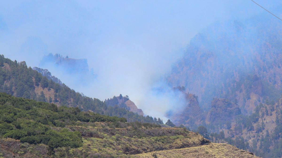 El incendio de La Palma queda estabilizado con 2.900 hectáreas arrasadas por el fuego