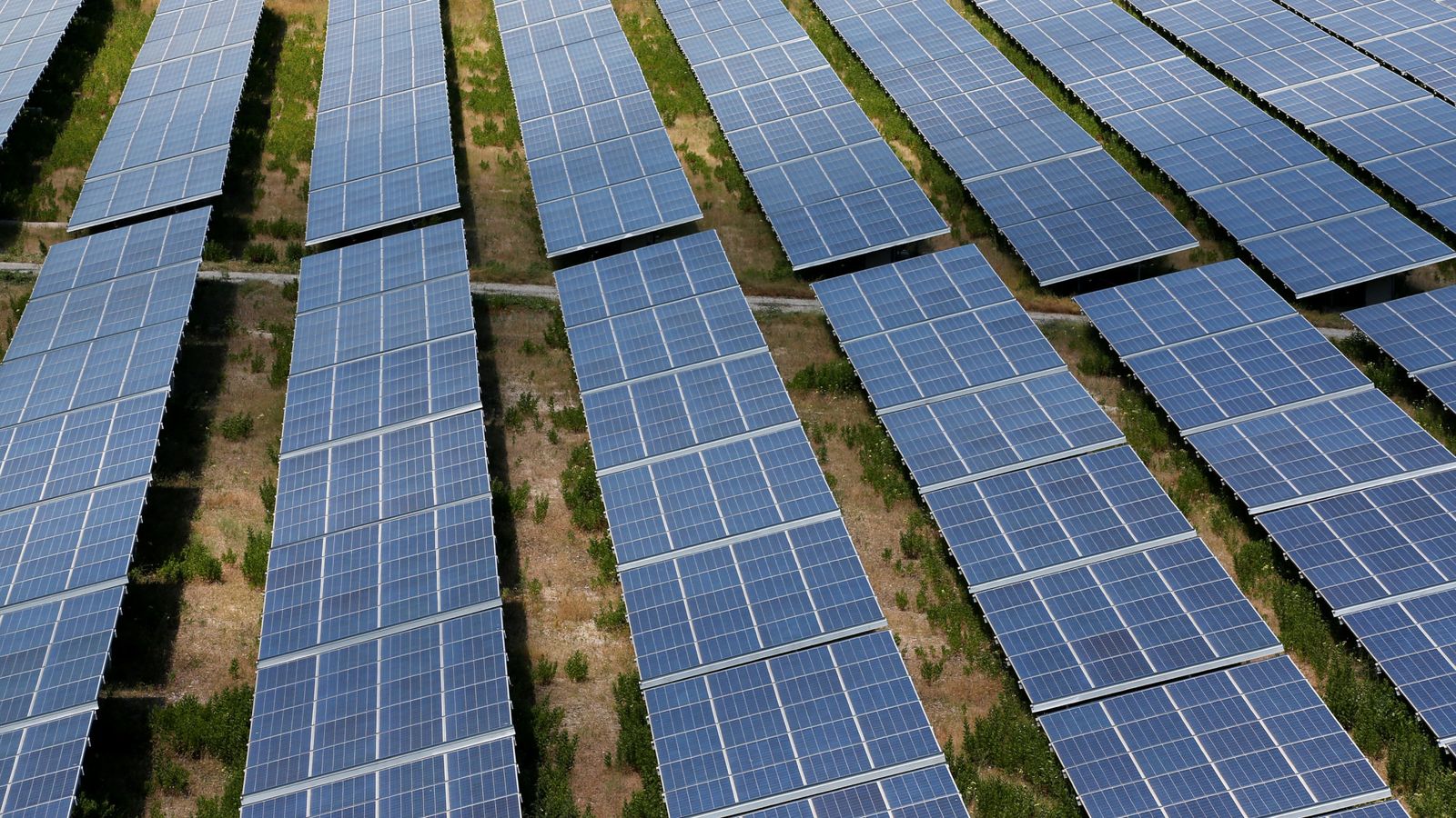 Foto: Foto de archivo de un parque solar. (Reuters)