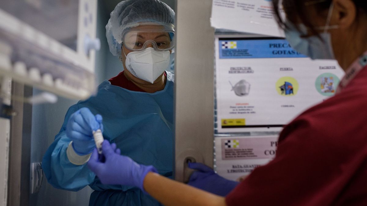 Nuevo récord en la segunda ola con 537 muertes por coronavirus notificadas en un día