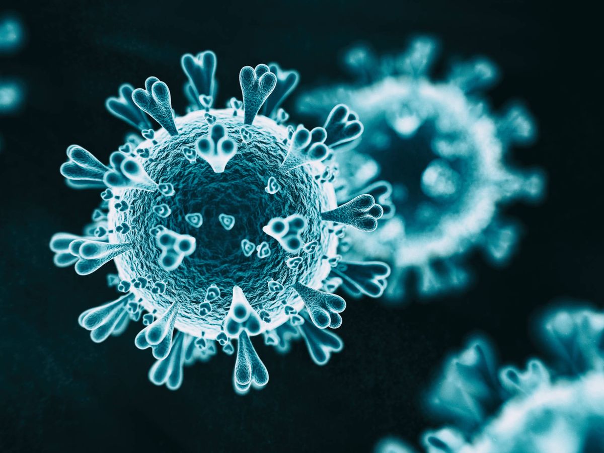 Foto: Representación del coronavirus SARS-CoV-2. (iStock)