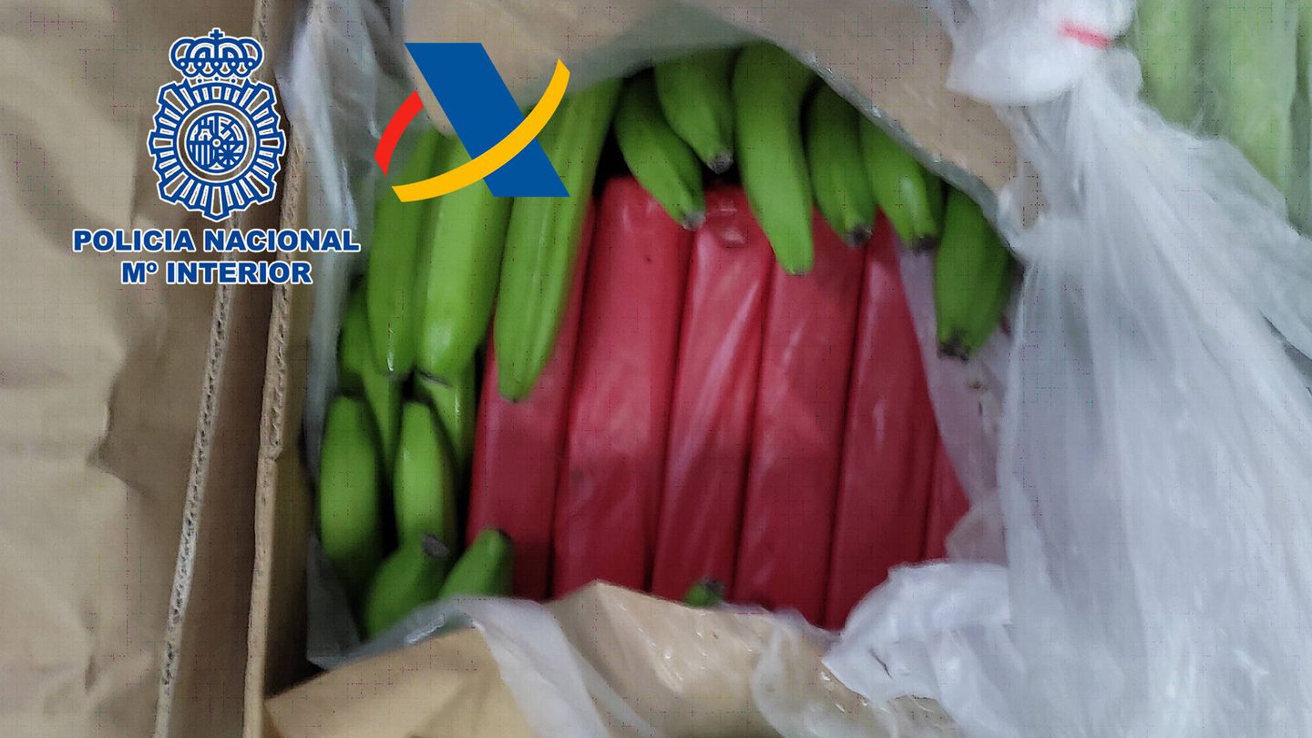 Cajas de plátanos que ocultaban la droga. (Cedida)