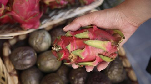 El efecto pitaya: la fiebre por las 'frutas de oro' que puede arruinar al agricultor español