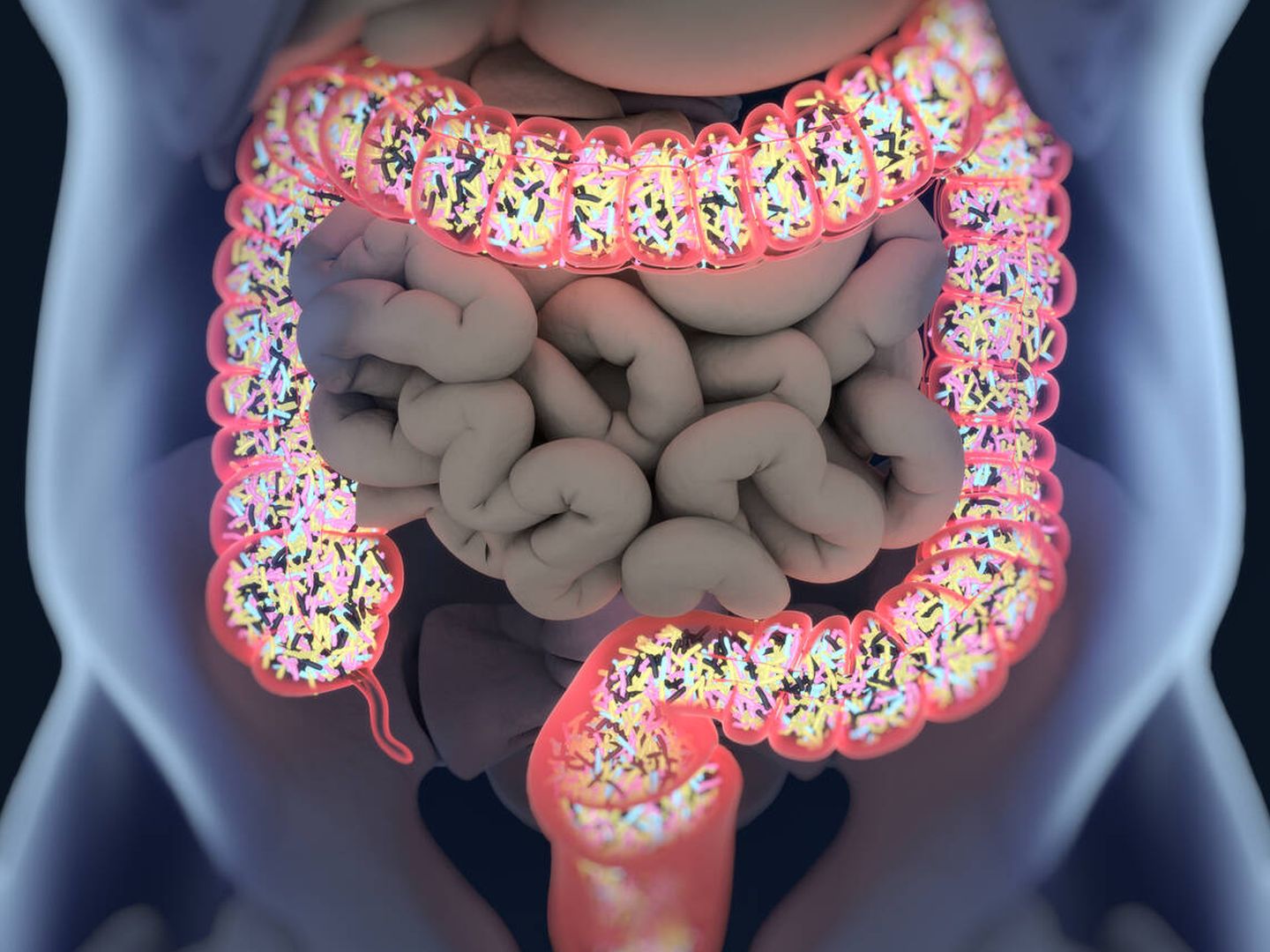 Cualquier desequilibrio en la microbiota intestinal puede tener un reflejo más o menos grave en la salud. (iStock)