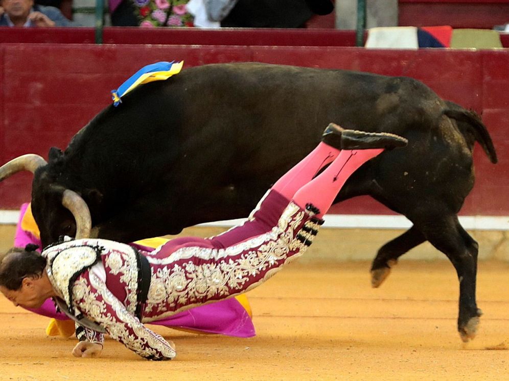 Foto: Cogida del banderillero Mariano de la Viña durante la faena de Enrique Ponce a su segundo toro, de Montalvo, en la Feria del Pilar de Zaragoza. (Efe)