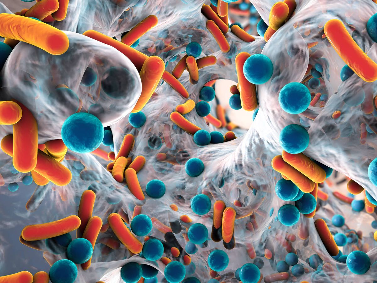 Foto: Los antibióticos pueden agotar el microbioma intestinal. (MRSA/Ilustración 3D)