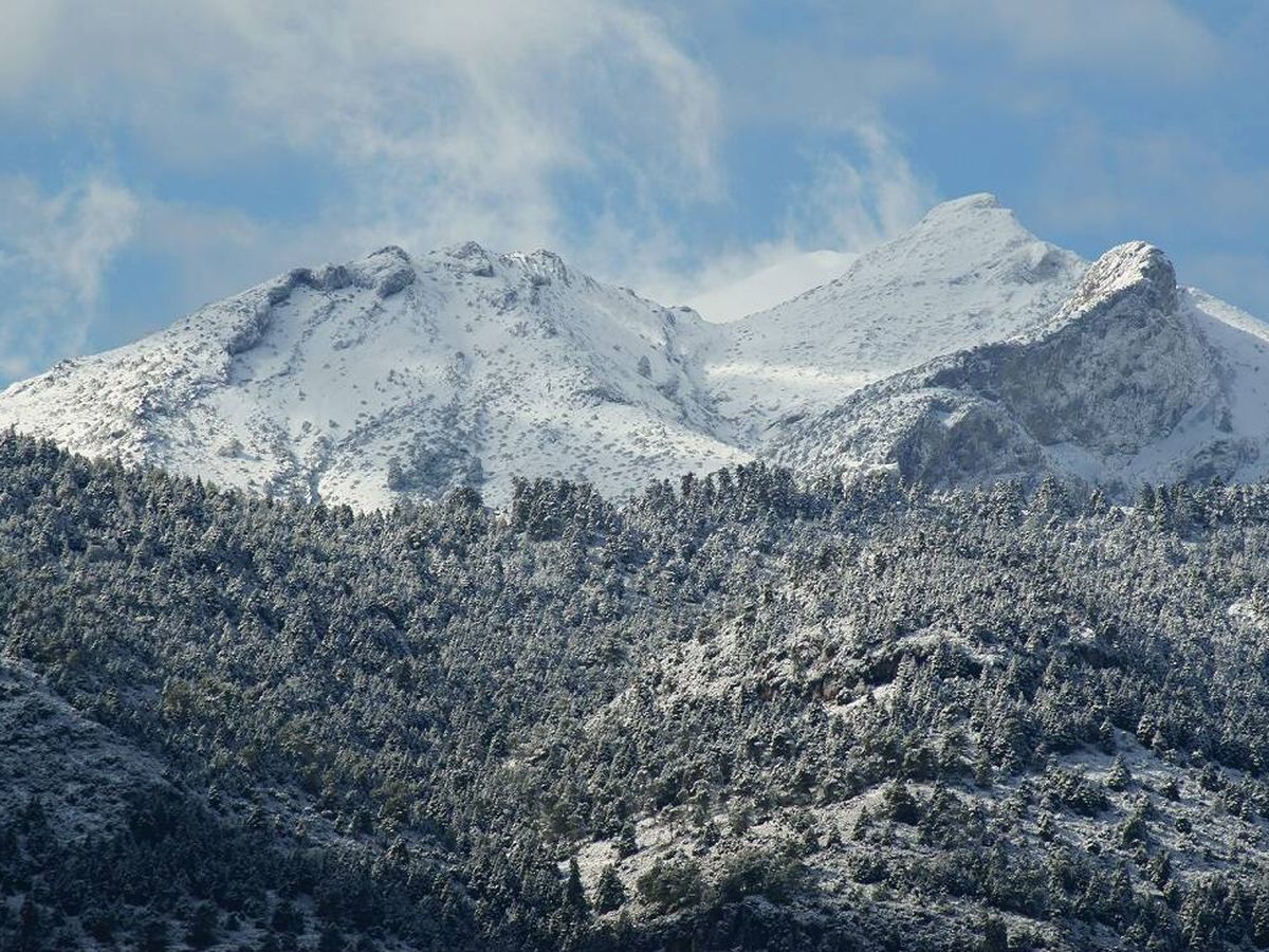 Foto: La Sierra de las Nieves, el más 'nuevo' de nuestros parques nacionales. 