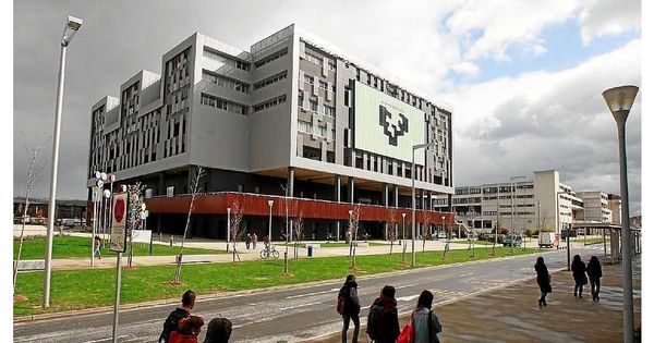 Foto: Universidad del País Vasco.