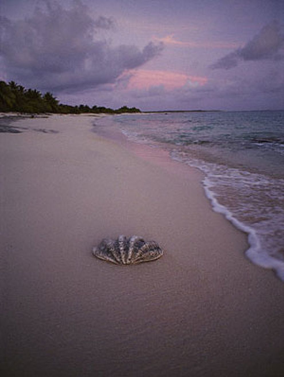 Foto: La paradisíaca isla Bikini reclama lo que es suyo